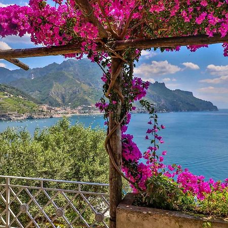 Star Fish House Villa Amalfi Buitenkant foto